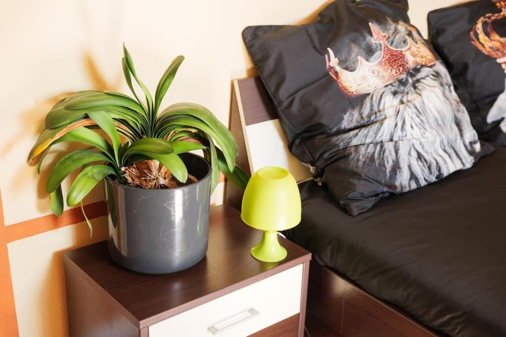 Appartement - 3-bedroom Luxury: Central & Spacious In & Big Tv And Kitchen - *